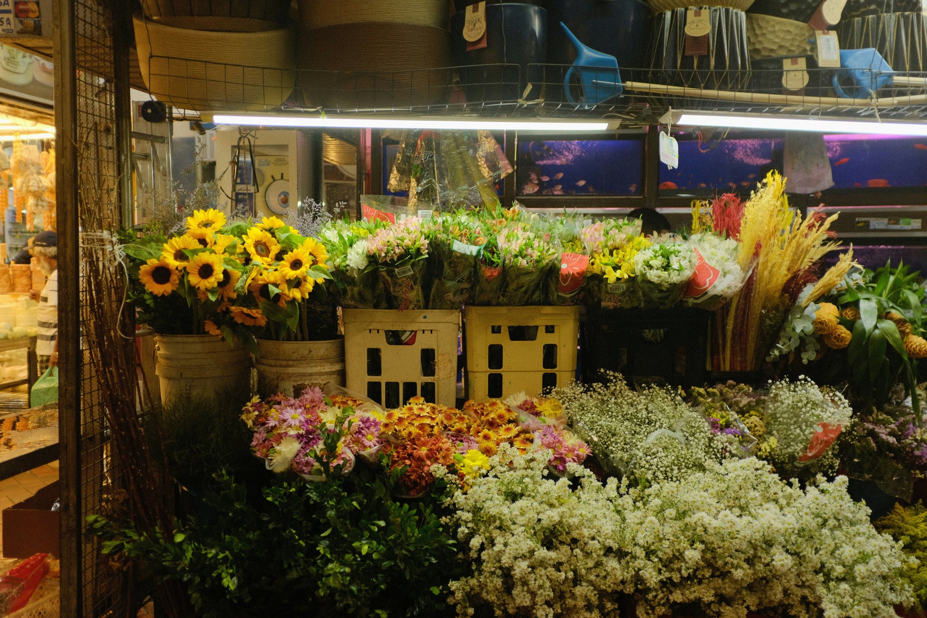Starting a Successful Wholesale Flower Business: A Beginner's Guide