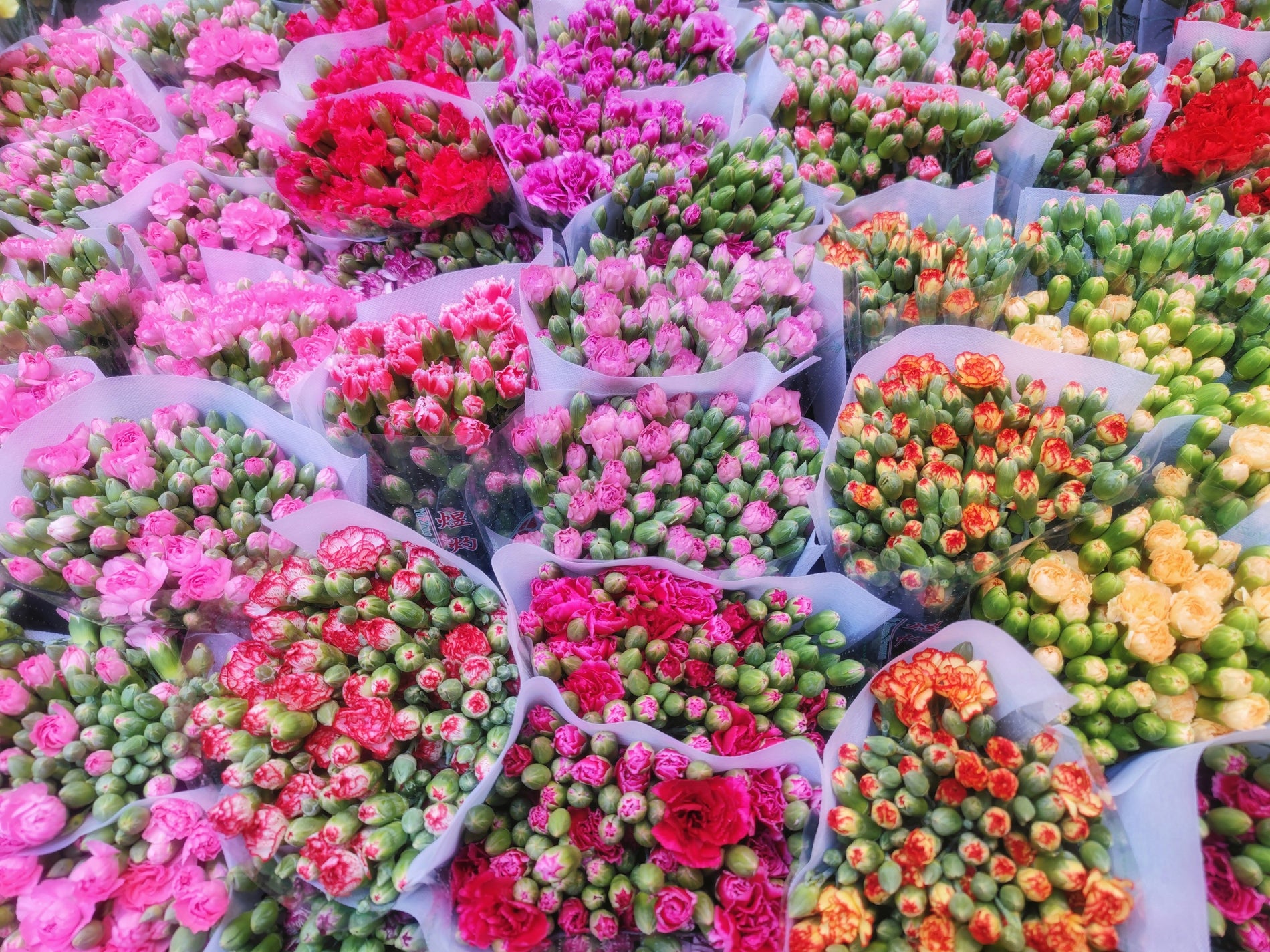 Which store-bought flowers have the longest vase life?