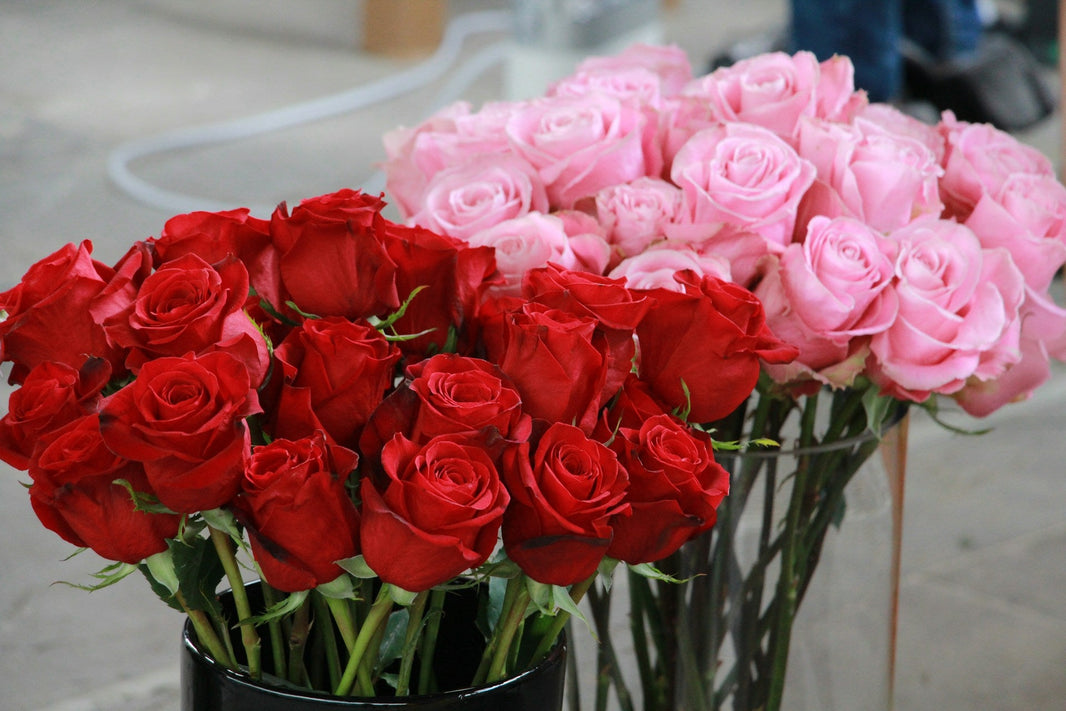 Why does a dozen roses often come with a high price tag?