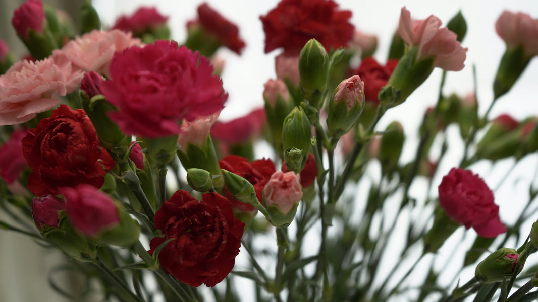 Which flowers are the most budget-friendly for weddings?