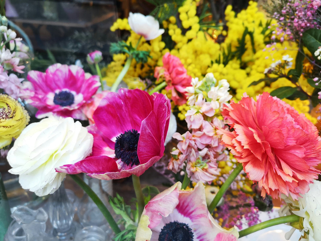 How to Find and Buy the Best Wholesale Flowers for Any Occasion