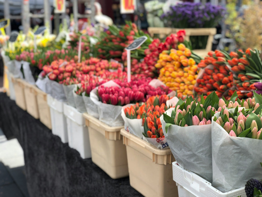 Everything You Need to Know About Can anyone go to a flower wholesaler