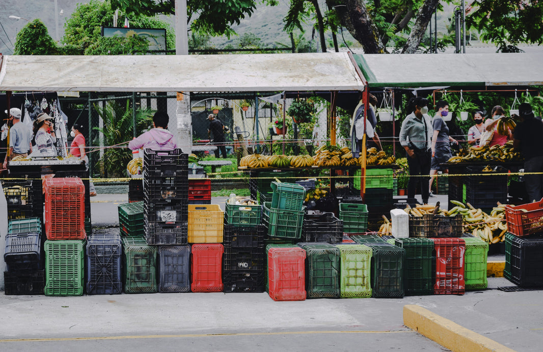 How to Find and Buy the Best Wholesale Flowers for Any Occasion