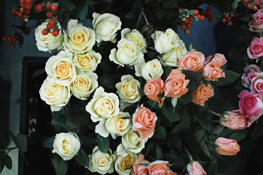 When is the best time of year to get roses at the lowest price?