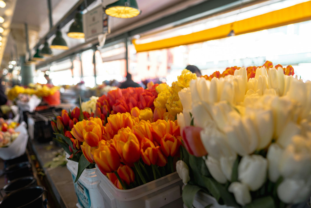 How do I start a small flower business
