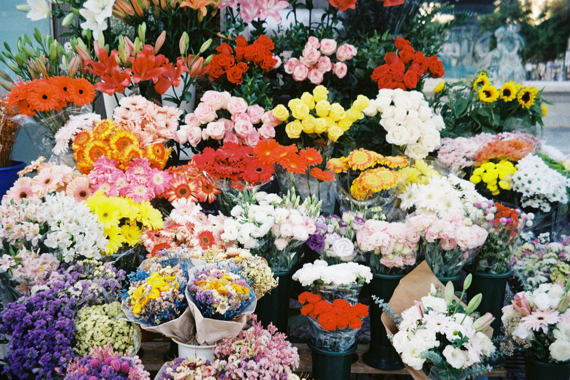 Impact of Buying Flowers in Bulk: Quality