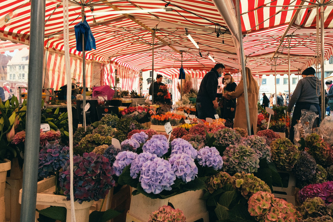 Everything You Need to Know About How to Become a Flower Vendor