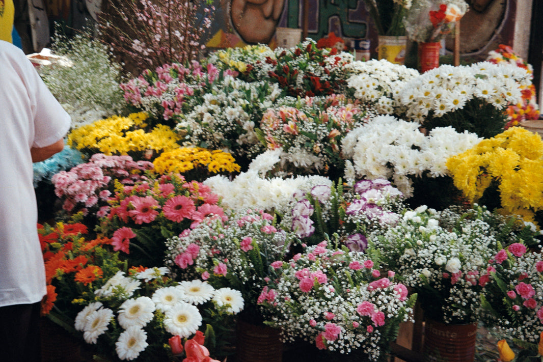 Which flower holds the top spot as the best-selling cut variety?