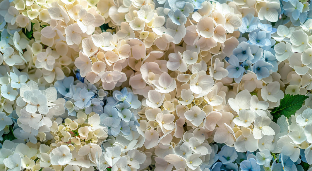 Are Hydrangeas a Good Choice for Wedding Arrangements?