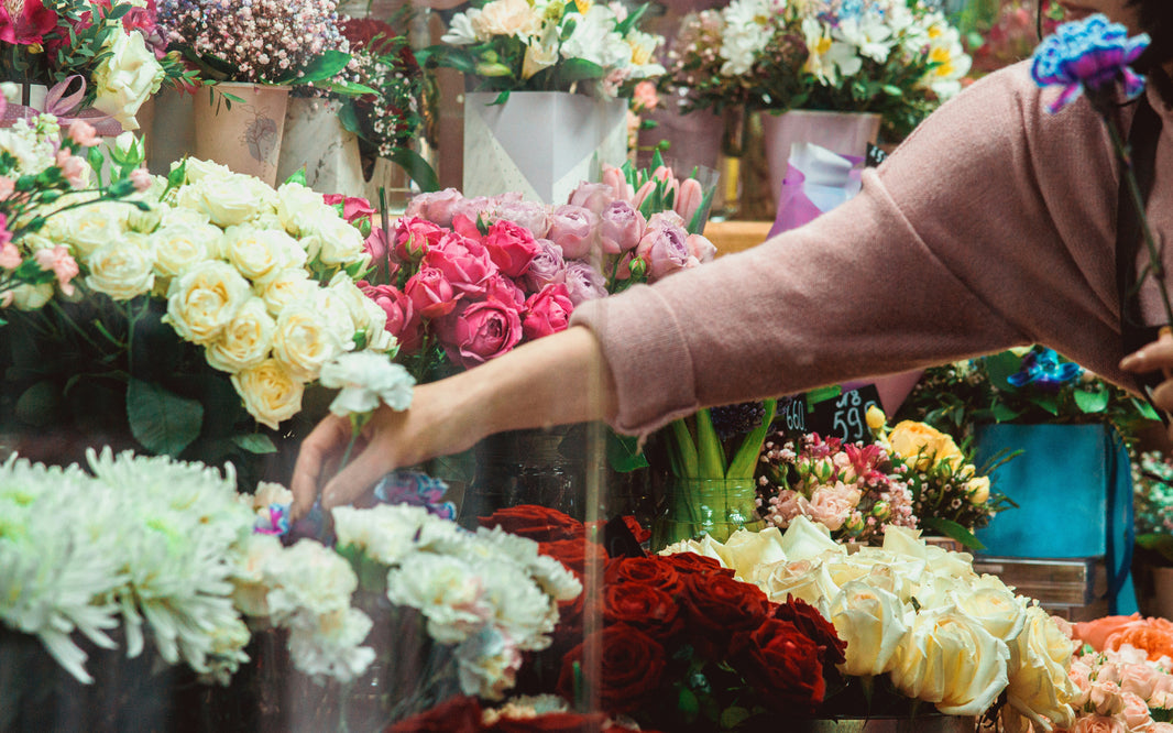 Everything You Need to Know About Why is a Florist So Expensive