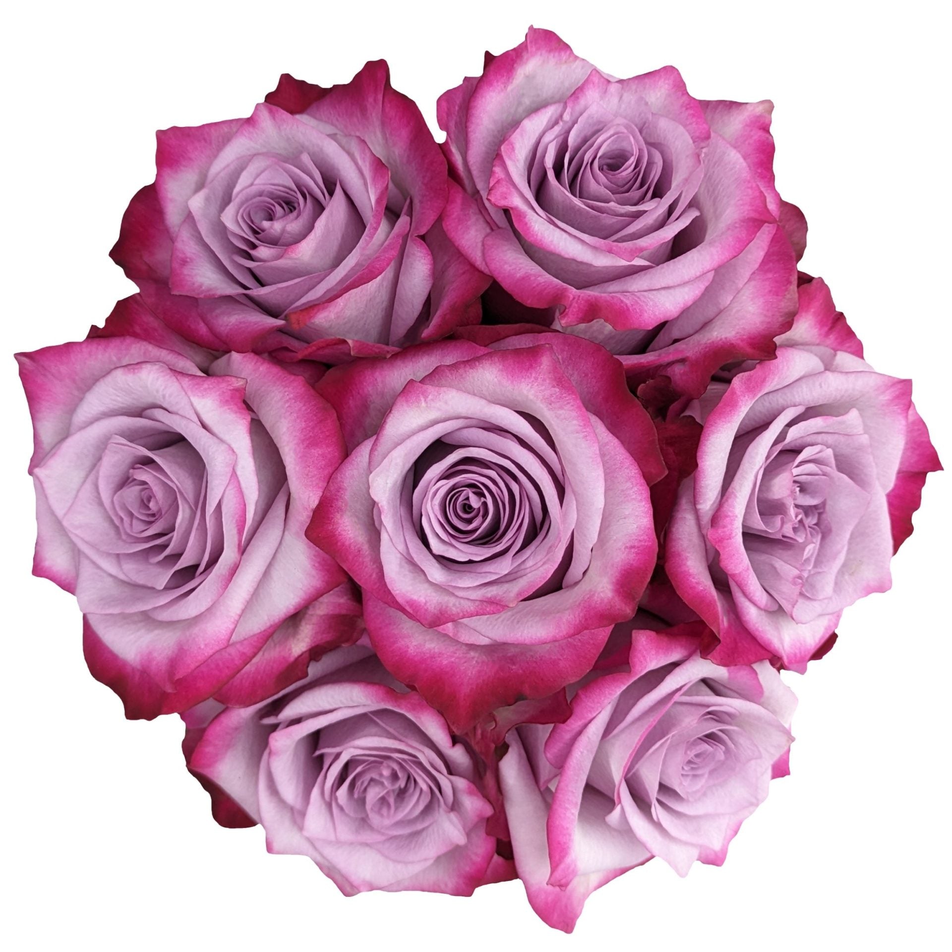 Bouquet Of Dark Purple Roses