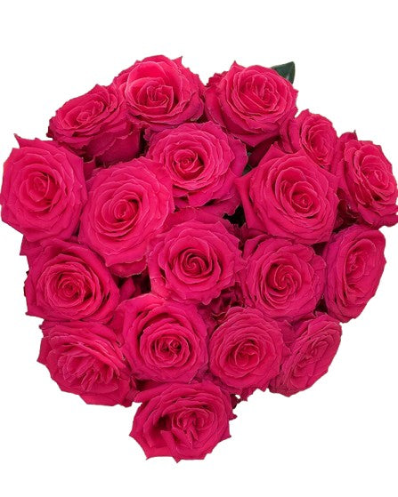 Hot Pink roses, wholesale roses, Full monty Roses | WholesaleFlowers.net