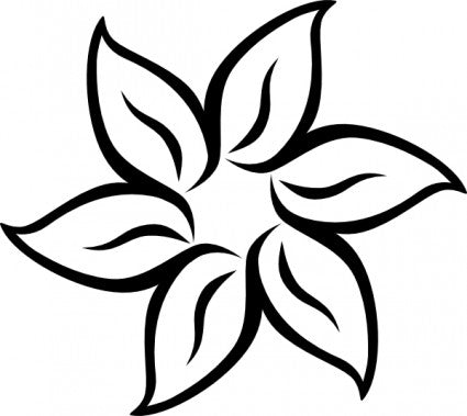 Phlox Tracy & Crissy - WholesaleFlowers.net