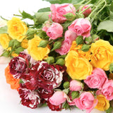 Spray Roses Assorted - BloomsyShop.com