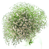 Gyp Million Stars (Baby's Breath) - BloomsyShop.com