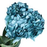 Hydrangea Airbrushed Metallic Aqua - BloomsyShop.com