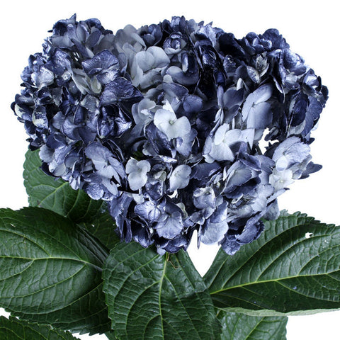 Hydrangea Airbrushed Metallic Black - BloomsyShop.com