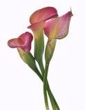 Mini Calla Pink - BloomsyShop.com