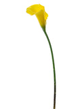 Mini Calla Yellow - BloomsyShop.com