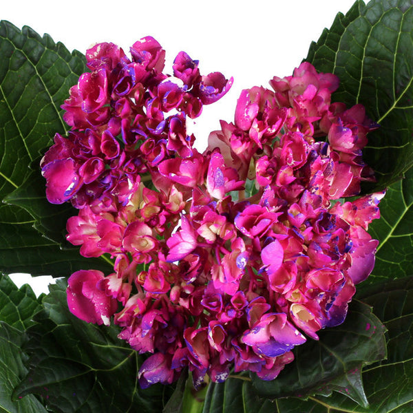 Hydrangea Airbrushed Vintage Purple - BloomsyShop.com